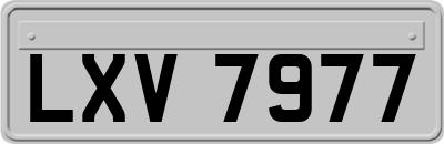 LXV7977