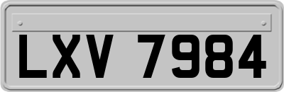 LXV7984