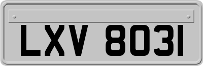 LXV8031
