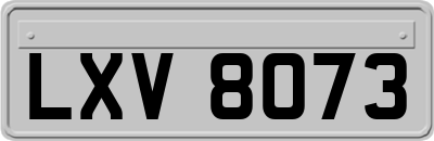 LXV8073