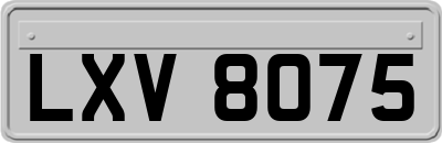 LXV8075