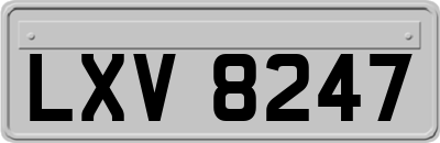 LXV8247