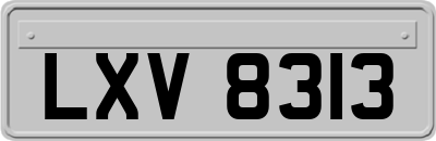 LXV8313