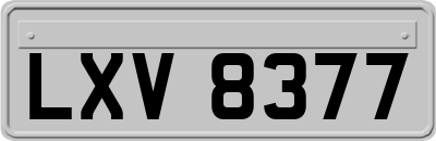 LXV8377