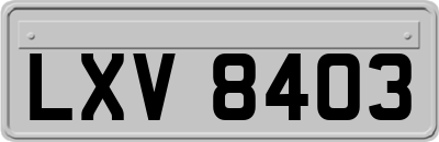 LXV8403