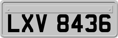 LXV8436