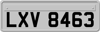 LXV8463