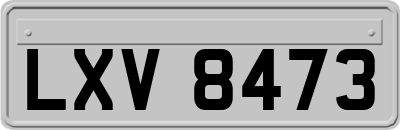 LXV8473