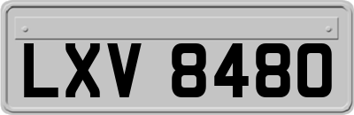 LXV8480