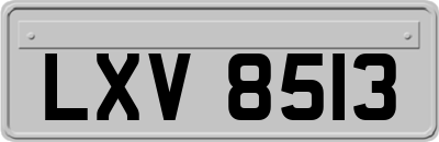 LXV8513