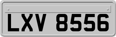 LXV8556