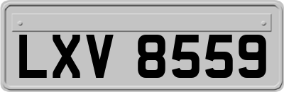 LXV8559