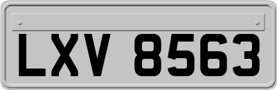 LXV8563