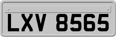 LXV8565