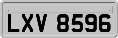 LXV8596