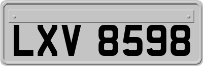 LXV8598