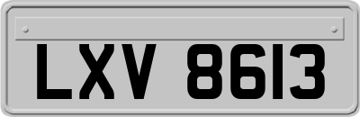 LXV8613