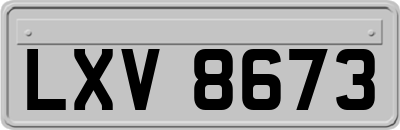 LXV8673