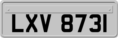 LXV8731