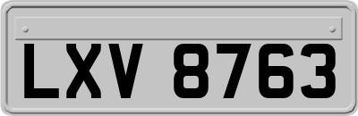 LXV8763