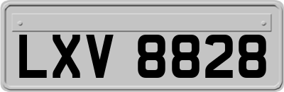 LXV8828