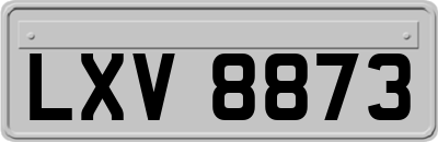 LXV8873