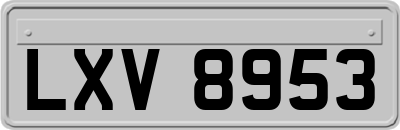 LXV8953