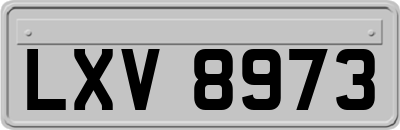 LXV8973
