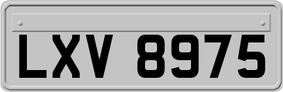 LXV8975