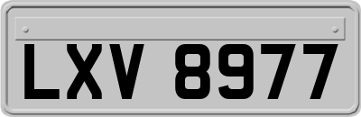 LXV8977