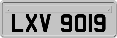 LXV9019