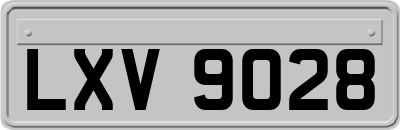 LXV9028