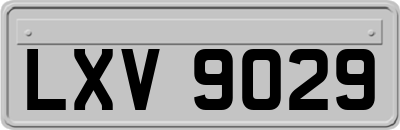 LXV9029