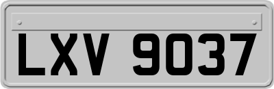 LXV9037
