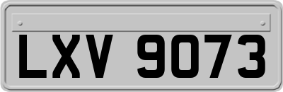 LXV9073