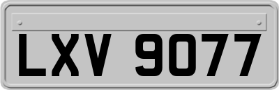 LXV9077