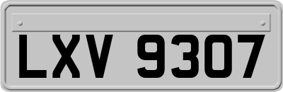 LXV9307