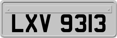 LXV9313