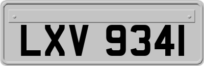LXV9341