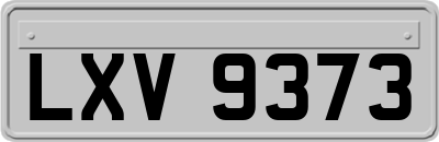 LXV9373