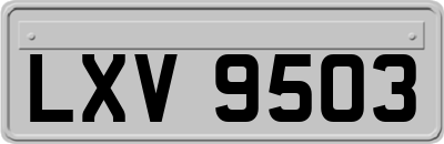 LXV9503