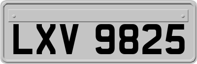 LXV9825