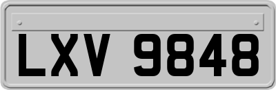LXV9848