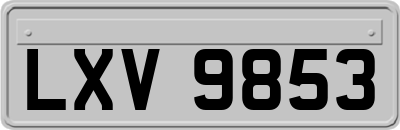 LXV9853