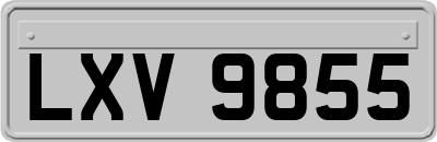 LXV9855