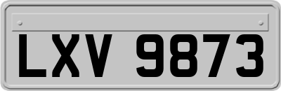 LXV9873
