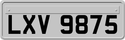 LXV9875