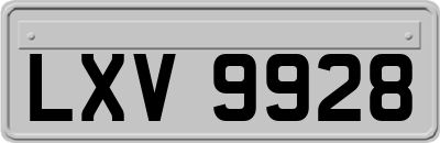 LXV9928