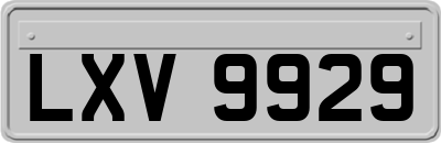 LXV9929