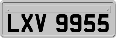LXV9955
